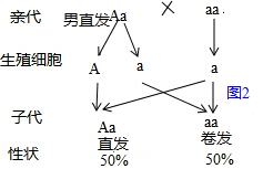 作业帮