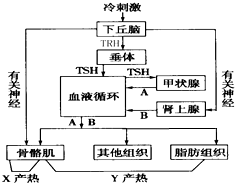 作业帮