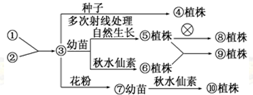 作业帮