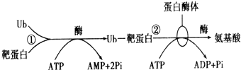 作业帮