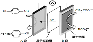 作业帮