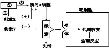 作业帮