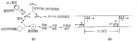 作业帮