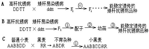 作业帮