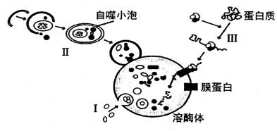 作业帮