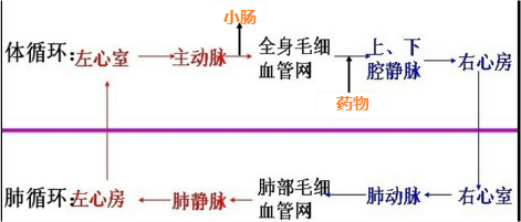 作业帮