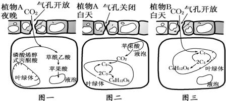 作业帮