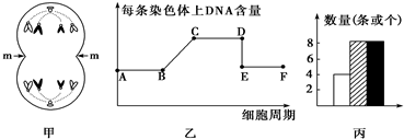 作业帮