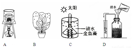 下面是某小组进行实验时设置的装置图,能验证植物光合作用产生氧气的