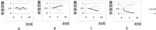 作业帮