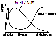 作业帮