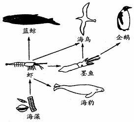 作业帮