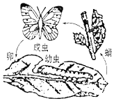 作业帮