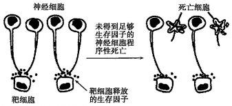 作业帮