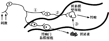 作业帮