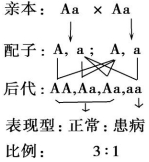 作业帮