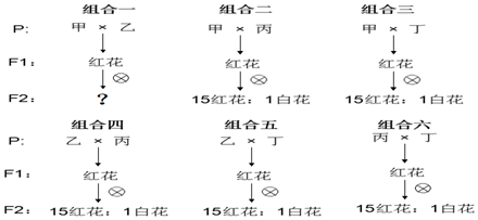 作业帮