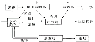 作业帮