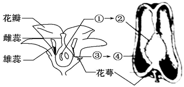 作业帮