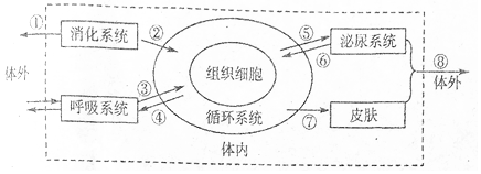 作业帮