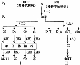 作业帮