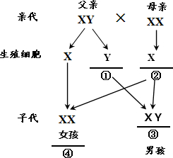 作业帮