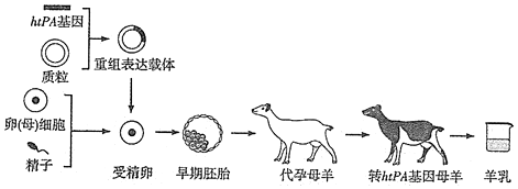 作业帮