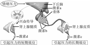 作业帮