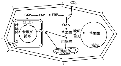 作业帮