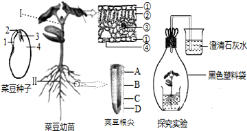 作业帮