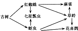 作业帮