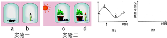 1771年英国科学家普利斯特里曾做过如下实验,据图回答相关问题