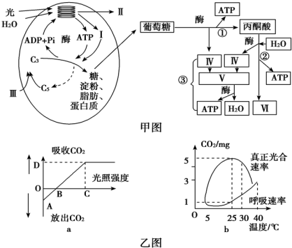 作业帮