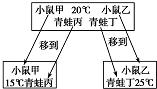 作业帮