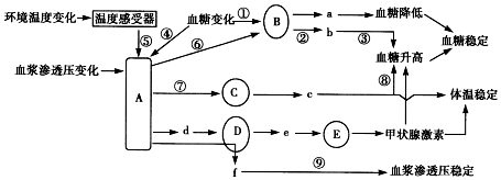 作业帮