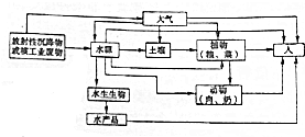 作业帮