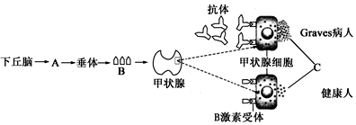 作业帮