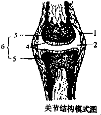 作业帮