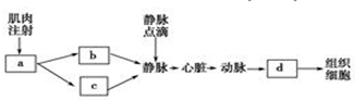 作业帮