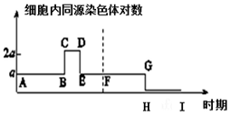 作业帮