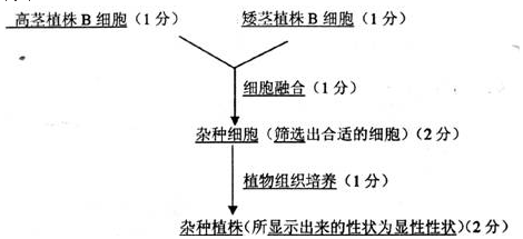 作业帮