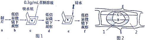 作业帮