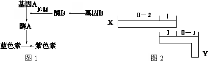 作业帮