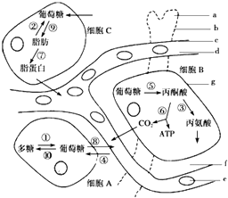 作业帮