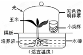 作业帮