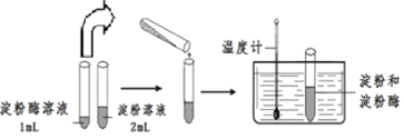 作业帮