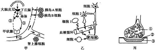 作业帮