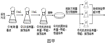 作业帮