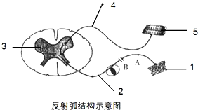 作业帮