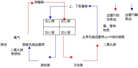 作业帮